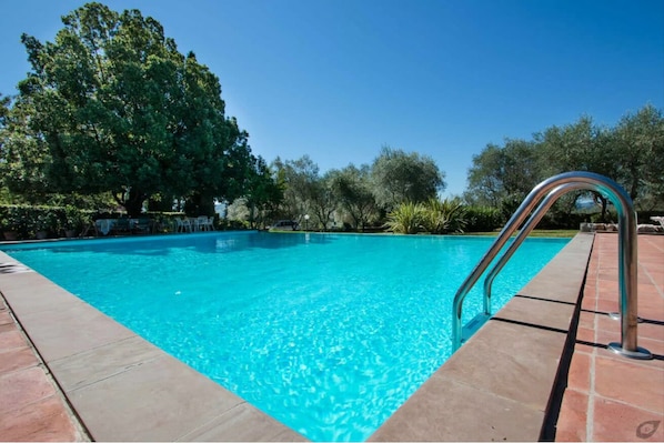 A clear swimming pool with a metal ladder, surrounded by trees and a clear sky.