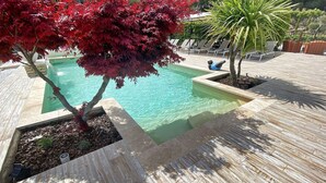 A swimming pool with a wooden deck and a red maple tree.