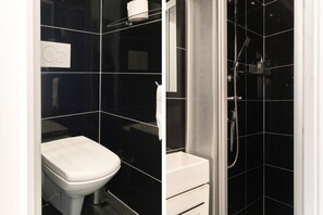 Shower, hair dryer