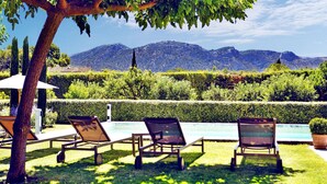 Un espace aménagé au bord de la piscine, avec trois chaises longues et un arbre qui offre de l’ombre.