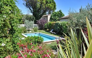 Pool - 4 bedroom cozy home in Avignon (Avignon)