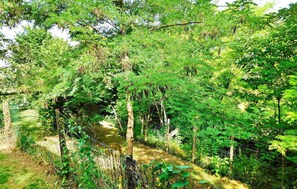 Boendeområde