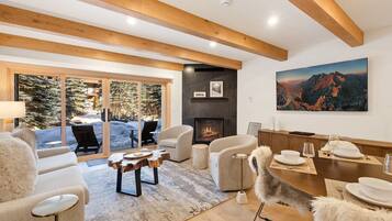 TV, fireplace, books