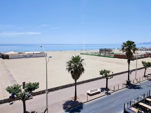 Vista frente a la playa con cielo despejado, arena, palmeras y una calle con acera.
