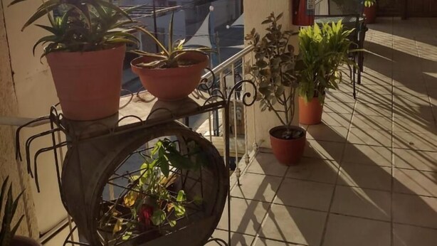 Unclassified image, 1 of 7, button - Hotel terraza los cabos (Cabo San Lucas)