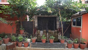 Un pequeño jardín con plantas en macetas y un banco de madera.