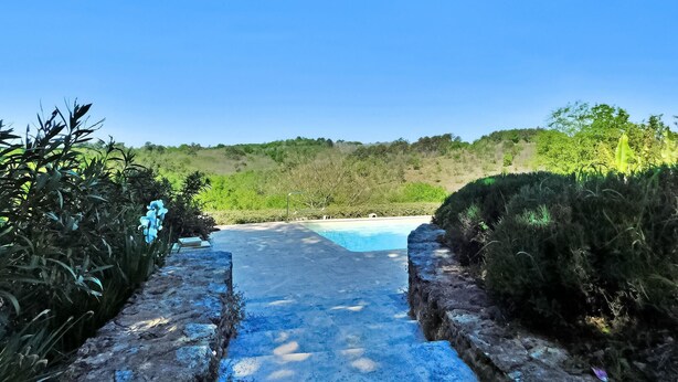 Una piscina con vistas despejadas del paisaje circundante, rodeada de exuberante vegetación y un sendero de piedra que conduce a ella.