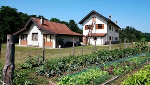 Una casa de dues plantes amb teulada de rajola vermella, un jardí tancat amb diverses plantes i una escala que condueix al pis superior.