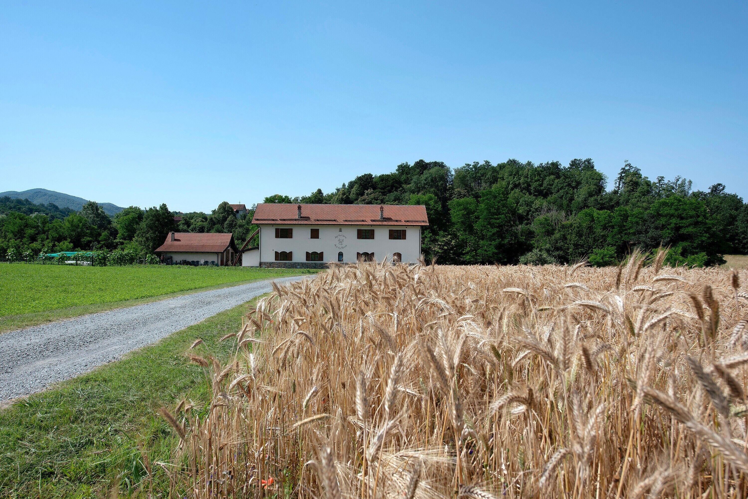 Terrein van de accommodatie