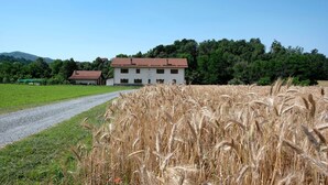 Un entorno rural con un edificio, un camino de grava y un campo de trigo.