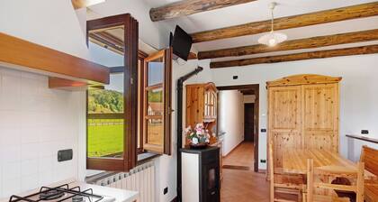 Studio Apartment 'Ant Ra Prina Chiaro Pino' with Mountain View and Shared Garden