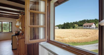 Studio Apartment 'Ant Ra Prina Chiaro Pino' with Mountain View and Shared Garden