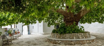 Holiday Home 'Traditional House In Koronos' with Mountain View, Private Terrace and Wi-Fi