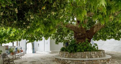 Ferienhaus 'Traditional House In Koronos' mit Bergblick, privater Terrasse und WLAN