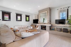 Télévision, cheminée, chaîne hi-fi