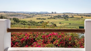Een landelijk landschap met velden, een dorp in de verte en een balkon met roze bloemen.