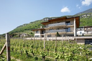 Exterior - Apartment 'Bacchushof Merlot' with Mountain View, Balcony and shared Pool (Termeno)