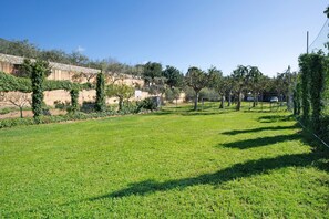 Un espace extérieur verdoyant, avec des arbres et un mur en pierre.