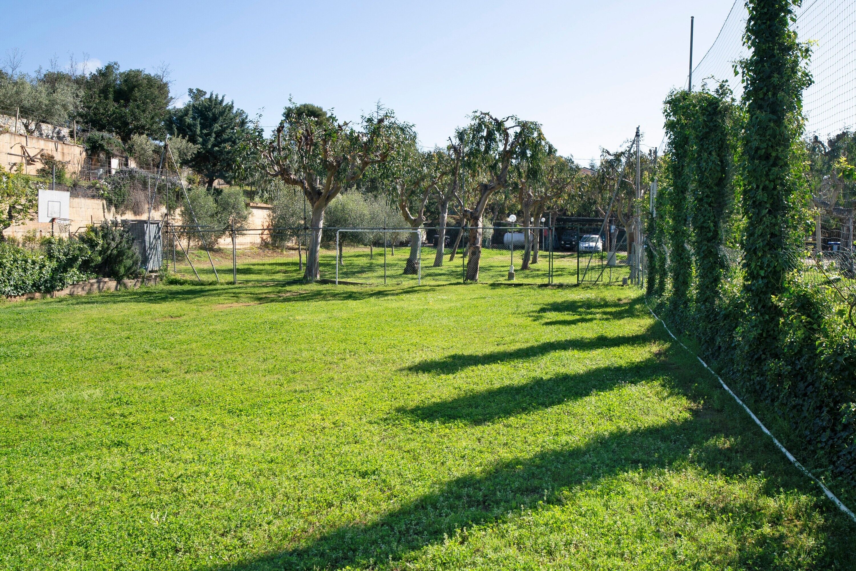 A fenced outdoor area with grass, trees, and a basketball hoop.