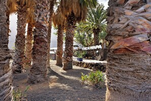 Property grounds - Apartment 'Finca Wapa - Margarita' with Sea View, Wi-Fi and Air Conditioning (Frontera)