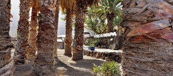 Apartment 'Finca Wapa -Olivo' with Sea View, Wi-Fi and Air Conditioning
