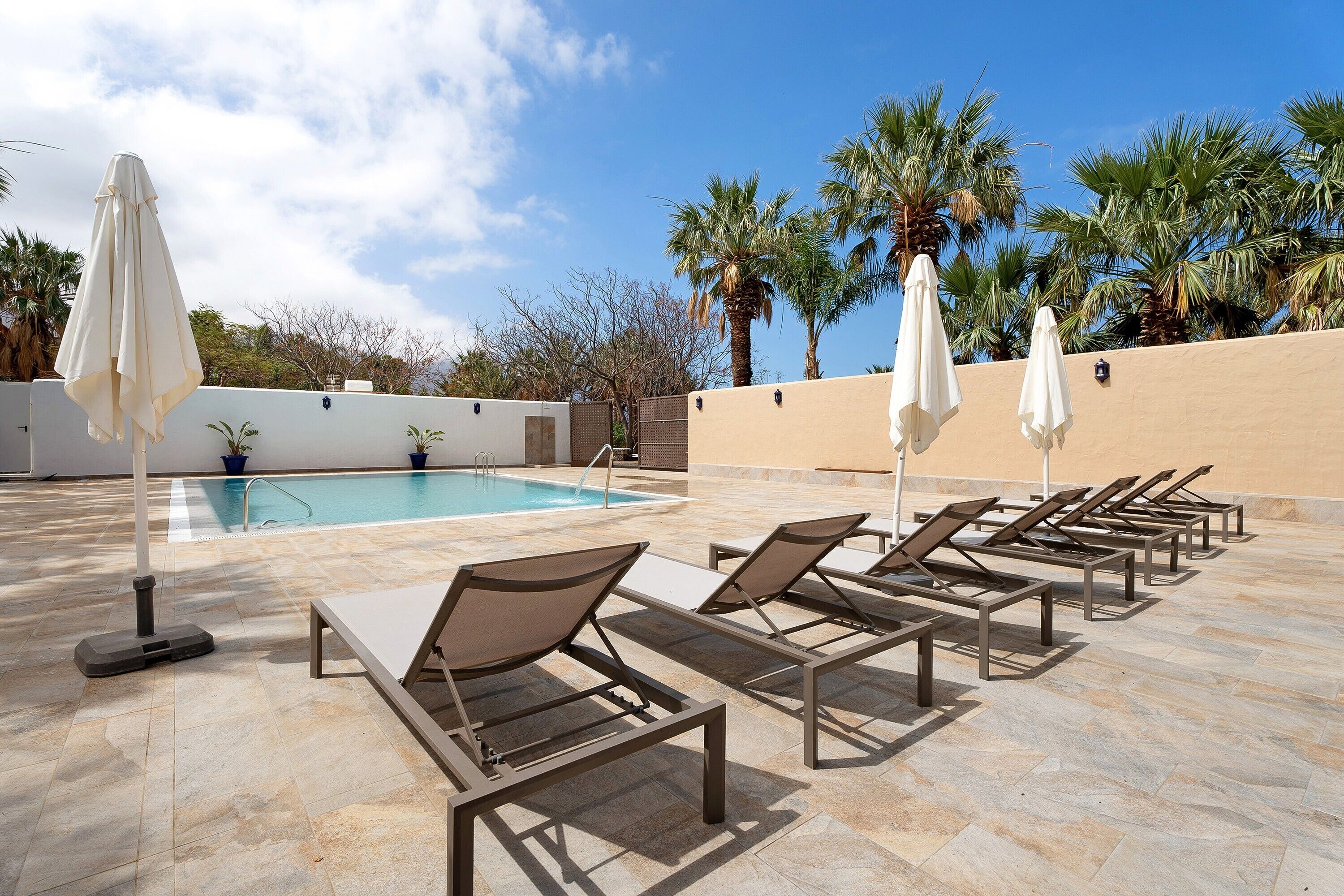 A poolside area with lounge chairs and umbrellas, a swimming pool, and palm trees.