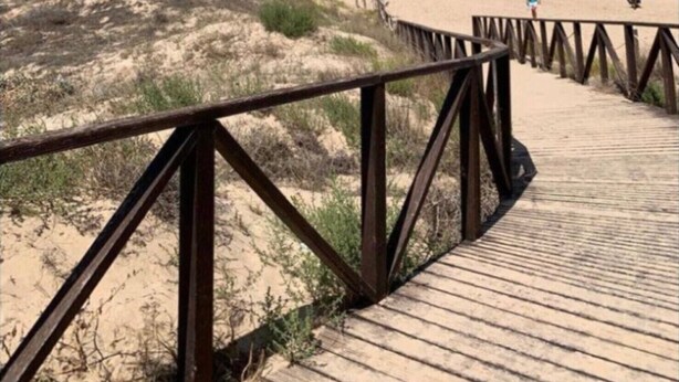 Ein hölzerner Steg führt zu einem Strand mit Dünen und dem Ozean im Hintergrund.