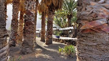 Jardines del alojamiento