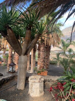 Property grounds - Apartment 'Finca Wapa -Rústico' with Sea View, Wi-Fi and Air Conditioning (Frontera)