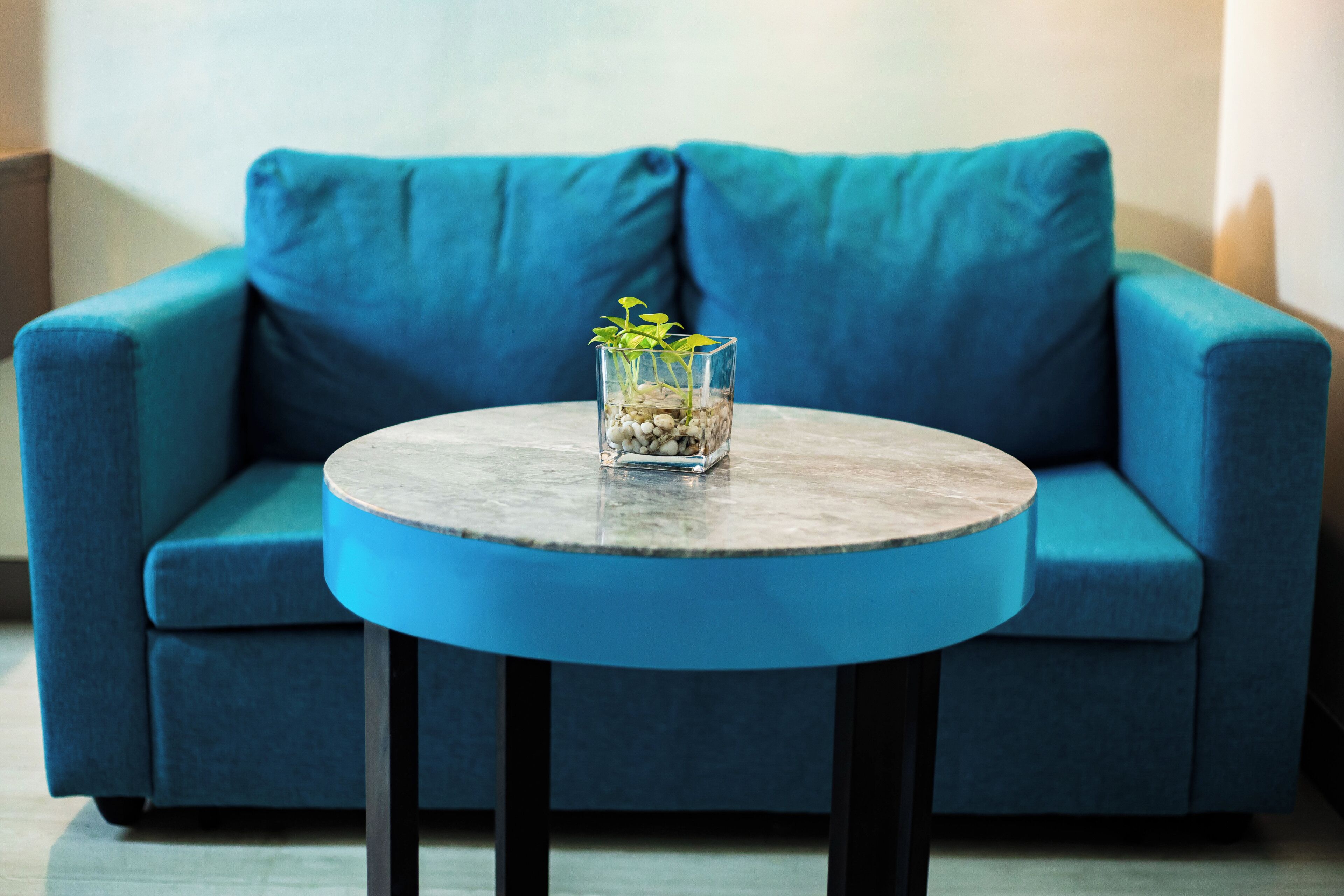 A round table with a glass containing plants, placed in front of a blue sofa.