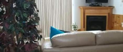 TV, fireplace, DVD player