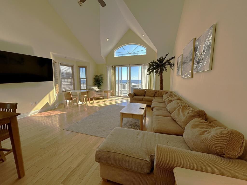 电视、DVD 播放器