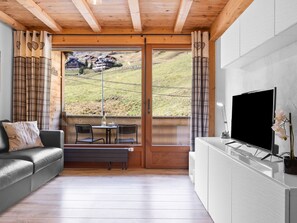 TV