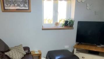 Tv, dvd-spelare, böcker och en stereo