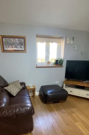 Een televisie, een dvd-speler, boeken en een stereo