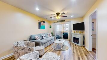 TV, fireplace, books