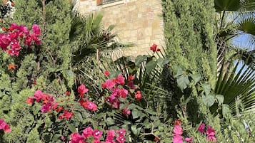 Außendetails