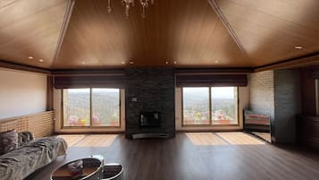 TV connectée, cheminée