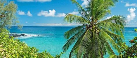 On the beach, sun-loungers, beach towels