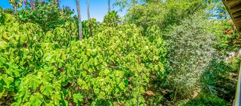 Garden view corner condo with wraparound lanai & pool, walk to Poipu beaches