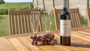Une table en bois sur laquelle se trouvent une bouteille de Santa Ana Cabernet Sauvignon 2014, deux verres à vin vides et une grappe de raisins.