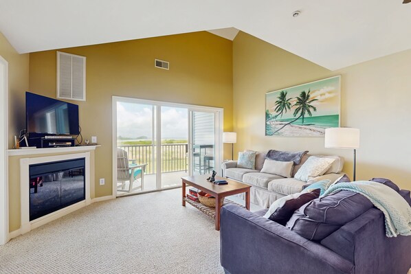 Télévision, cheminée, lecteur de DVD, livres