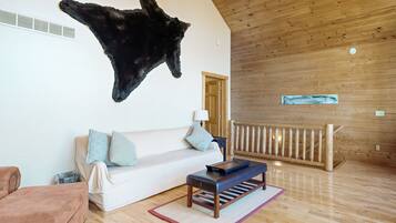 TV, fireplace, DVD player