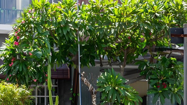 The exterior of Airport Kota Bali Hotel & Spa with a modern facade, a clear entrance, and lush greenery in front. - Collection O Kuta Near Airport Ngurah Rai (Tuban)
