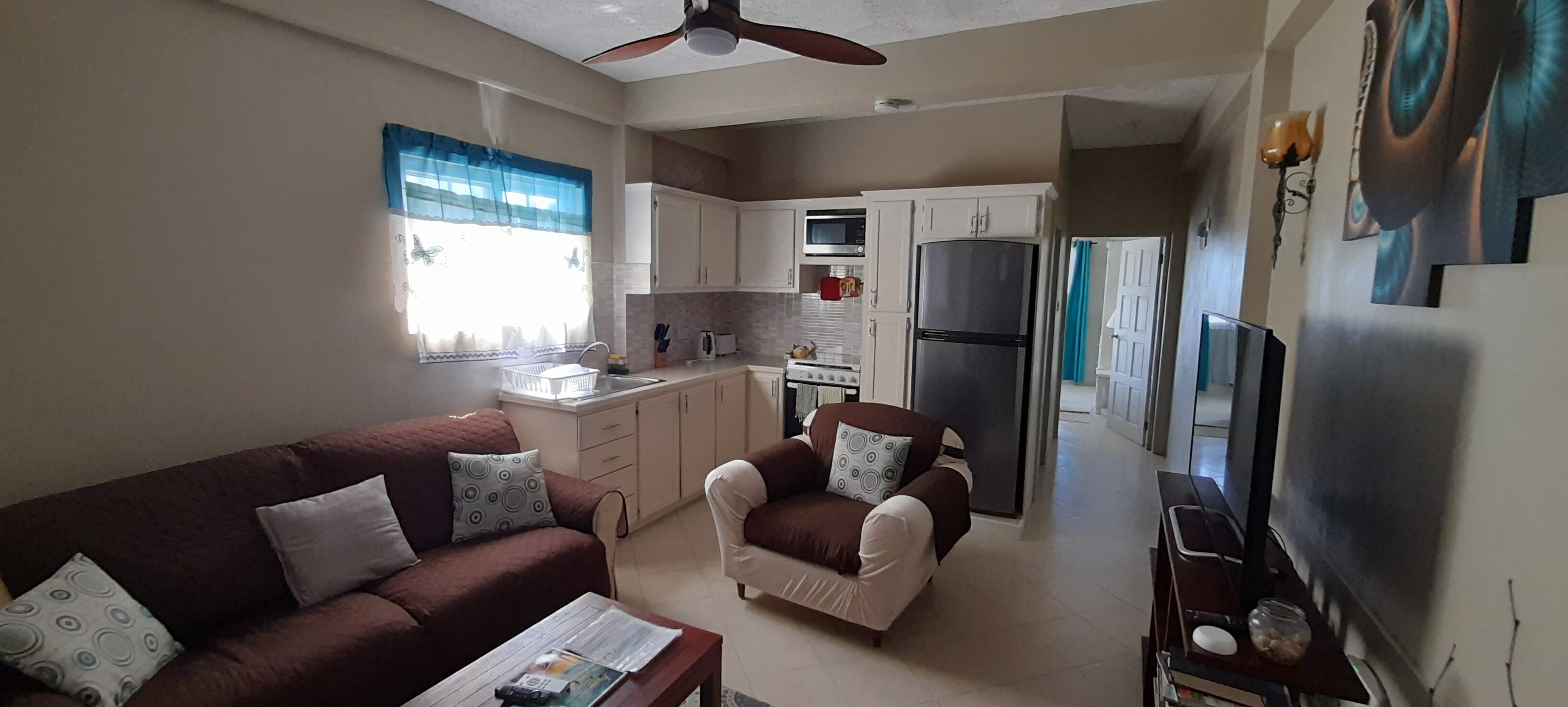 Basic Apartment | Living area | 55-inch Smart TV with digital channels, Netflix, streaming services