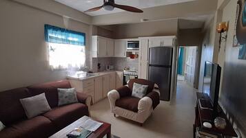 Basic Apartment | Living area | 55-inch Smart TV with digital channels, Netflix, streaming services