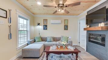 TV, fireplace, books, music library