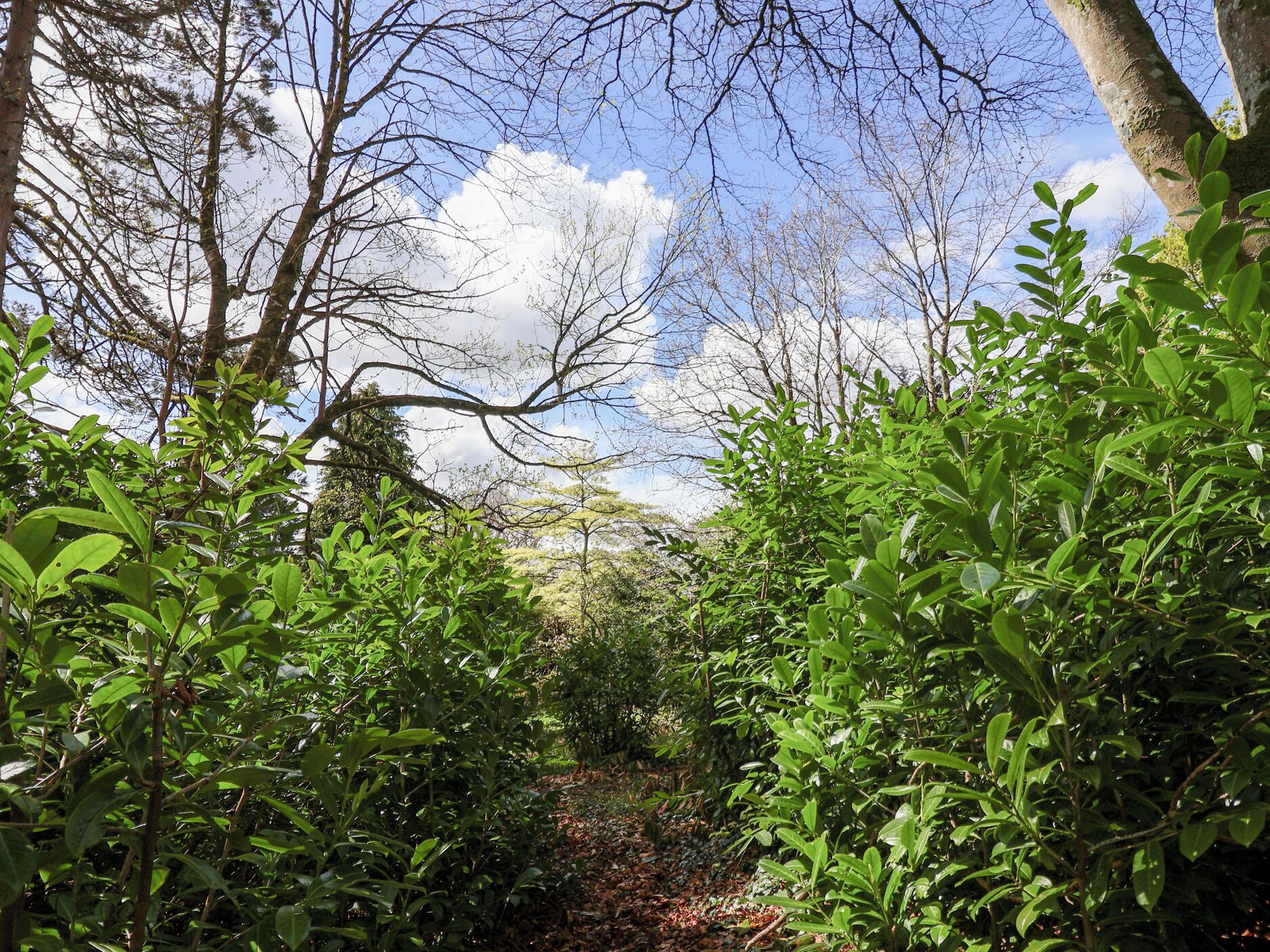 Cottage | Property grounds