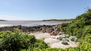 A coastal landscape with rocky terrain and dense greenery. - Merse End (Castle Douglas)
