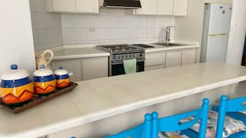Fridge, oven, stovetop, electric kettle